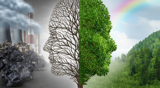 ENVIRONMENT-1