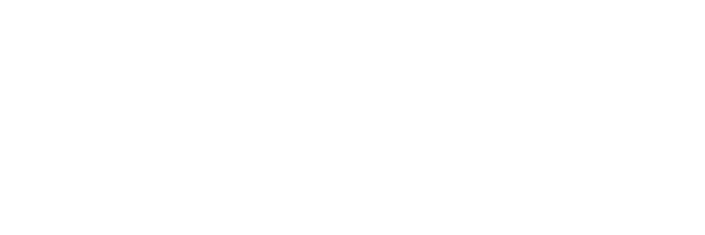 MS Partner Logo_White