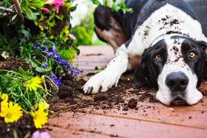 Complex Complaint Case Management is So Much More Than CRM Software