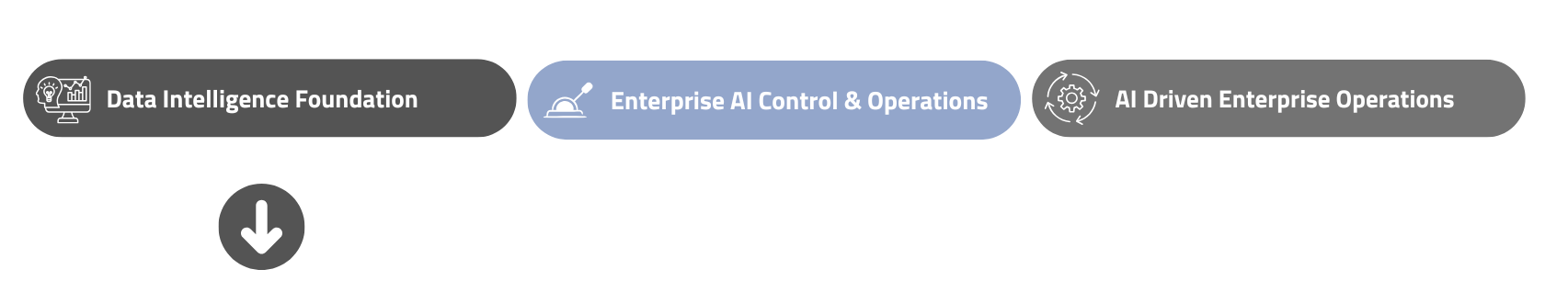 Data Foundation AI Enterprise AI Architecture (11)