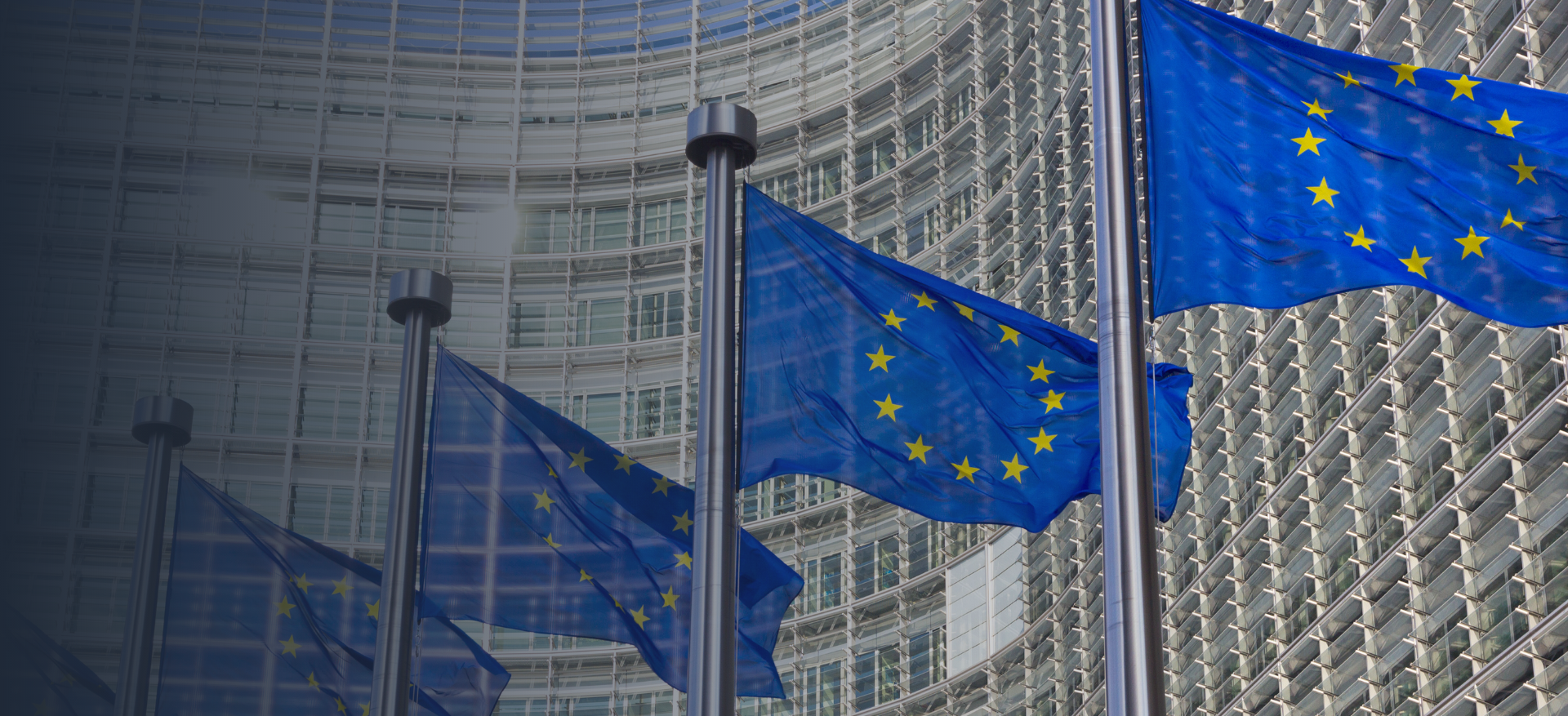 EU Commission Banner
